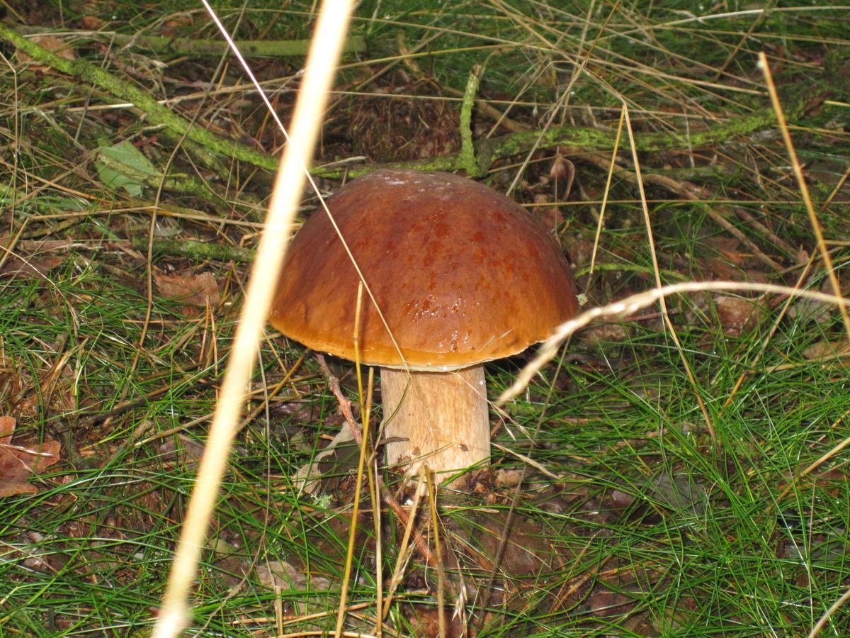 Gasthof Menke Niederhaverbeck Luaran gambar