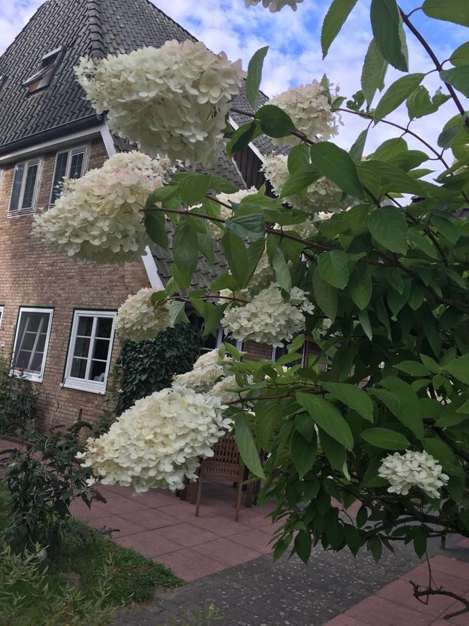 Gasthof Menke Niederhaverbeck Luaran gambar